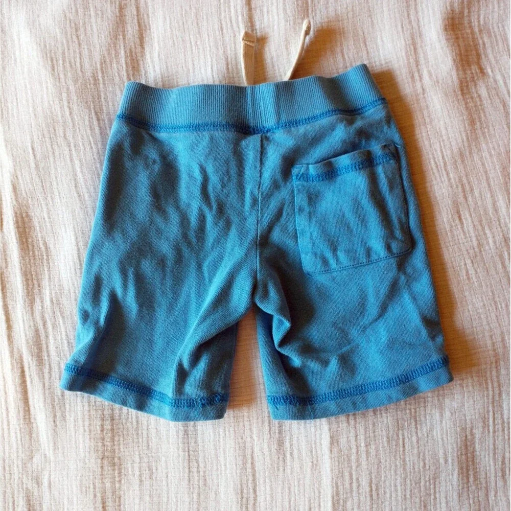 2T Gymboree Toddler Shorts Blue